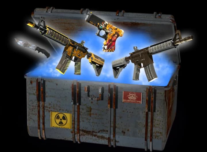 Mold Case