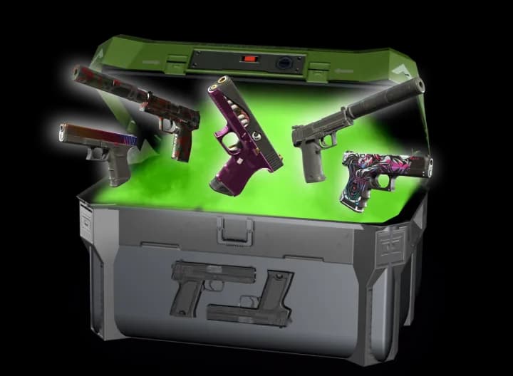 USP & Glock Case