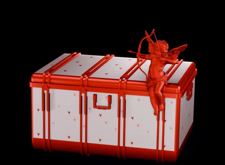 Cupid Case