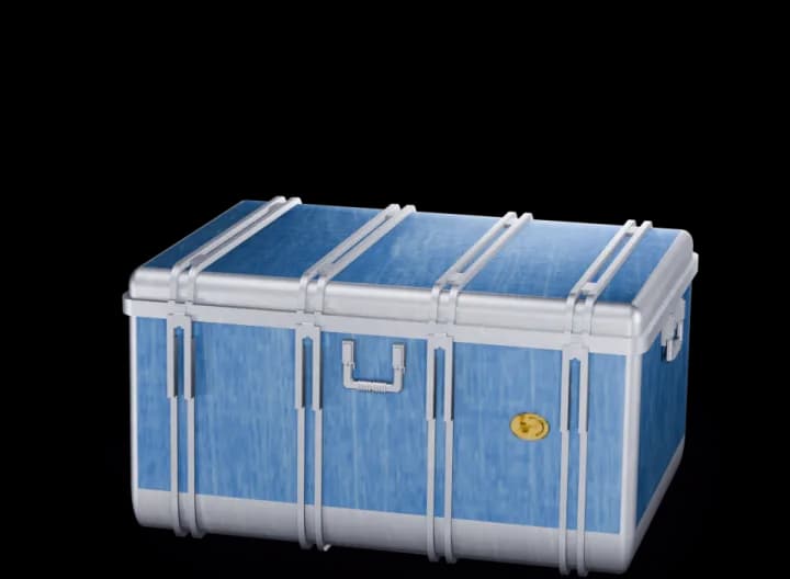Budget Case