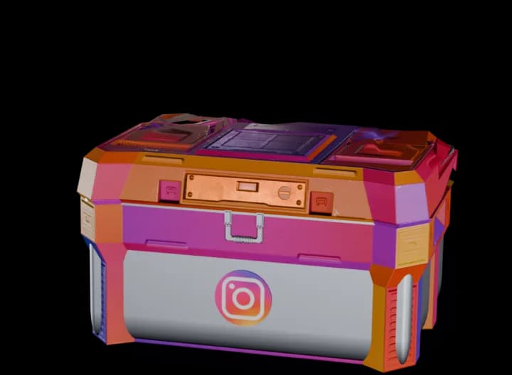 Instagram Case